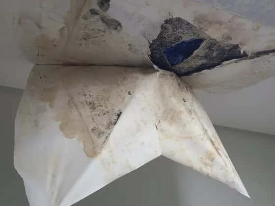 천장 모서리를 따라 번진 곰팡이와 벗겨진 벽지
