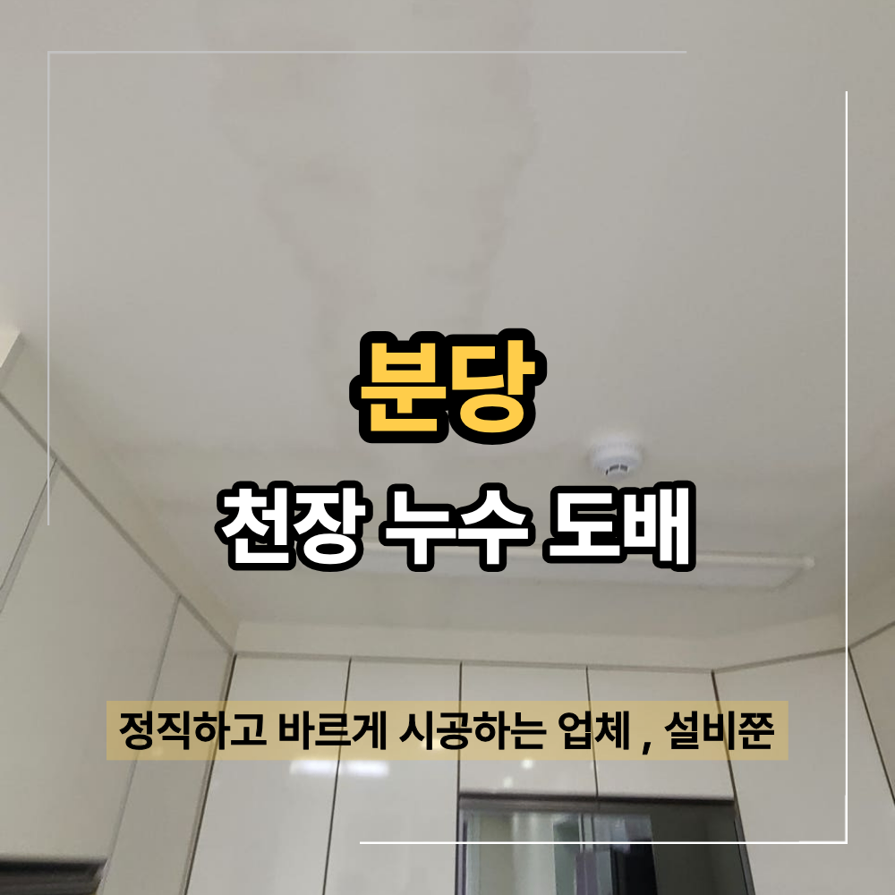 분당 천장 누수 도배 석고보드 인테리어 피해 복구