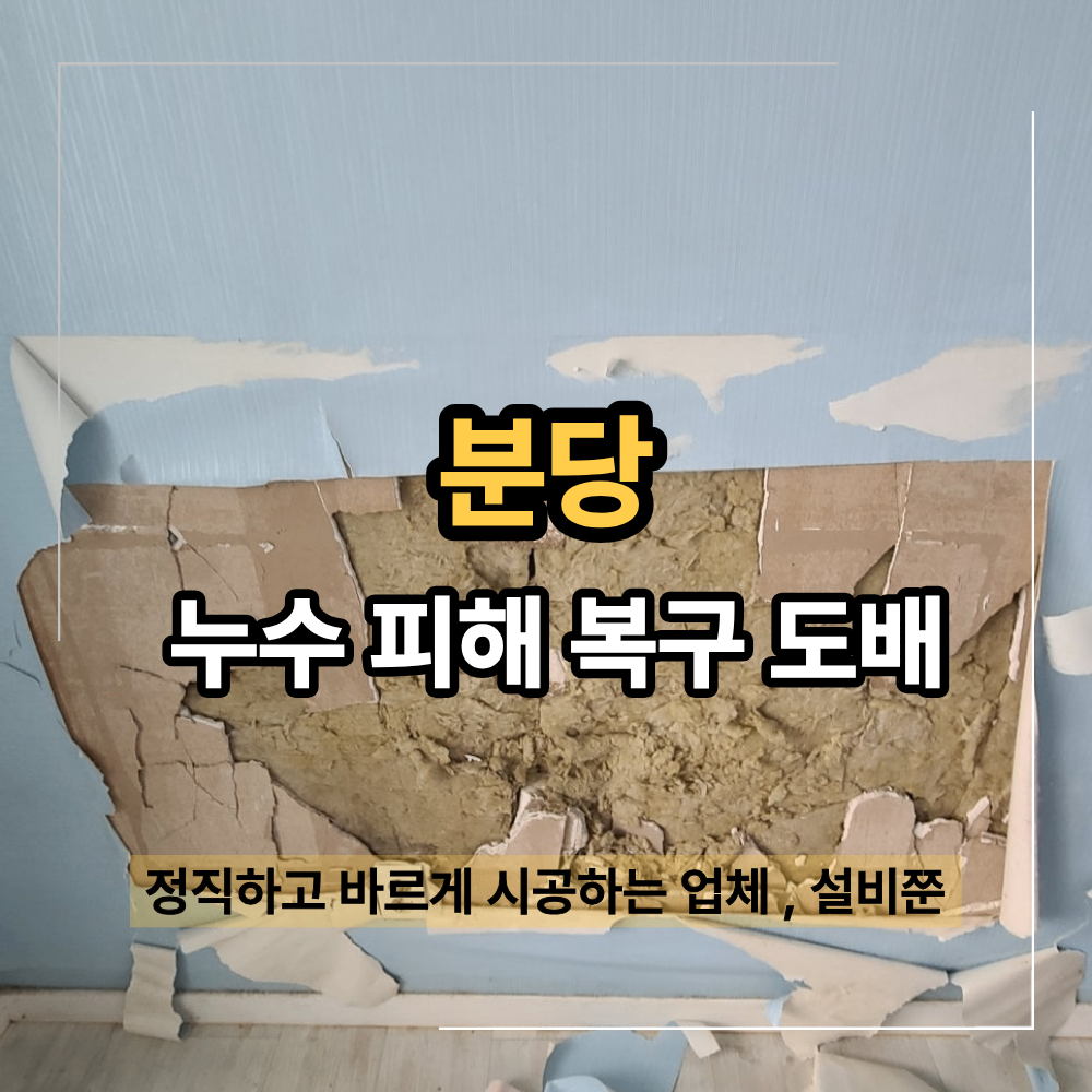 분당 누수 피해 복구 실크 도배 젖은 석고보드 한 면 교체