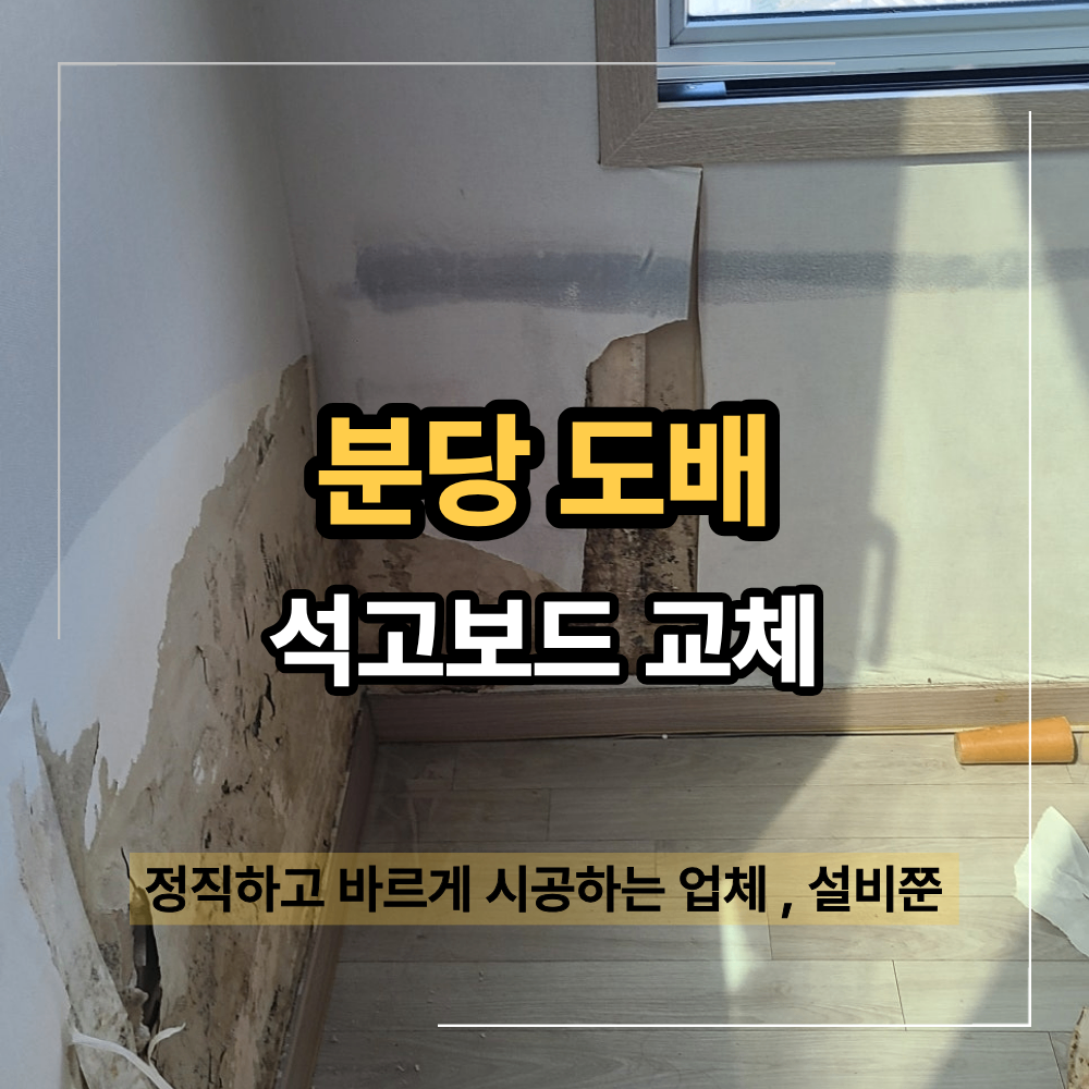 분당 도배 추천 오피스텔 누수 곰팡이 석고보드 교체
