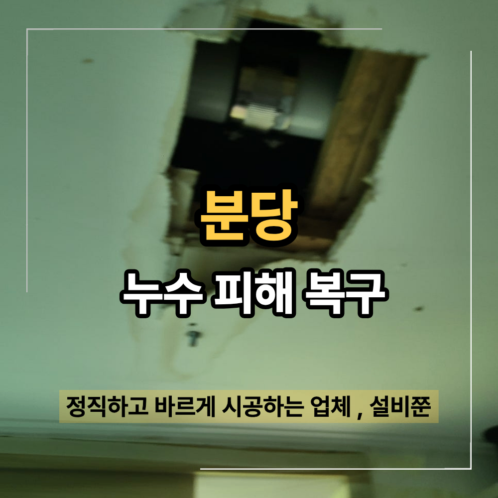 분당 윗집 배관 누수 베란다 천장 보수 및 페인트 도색